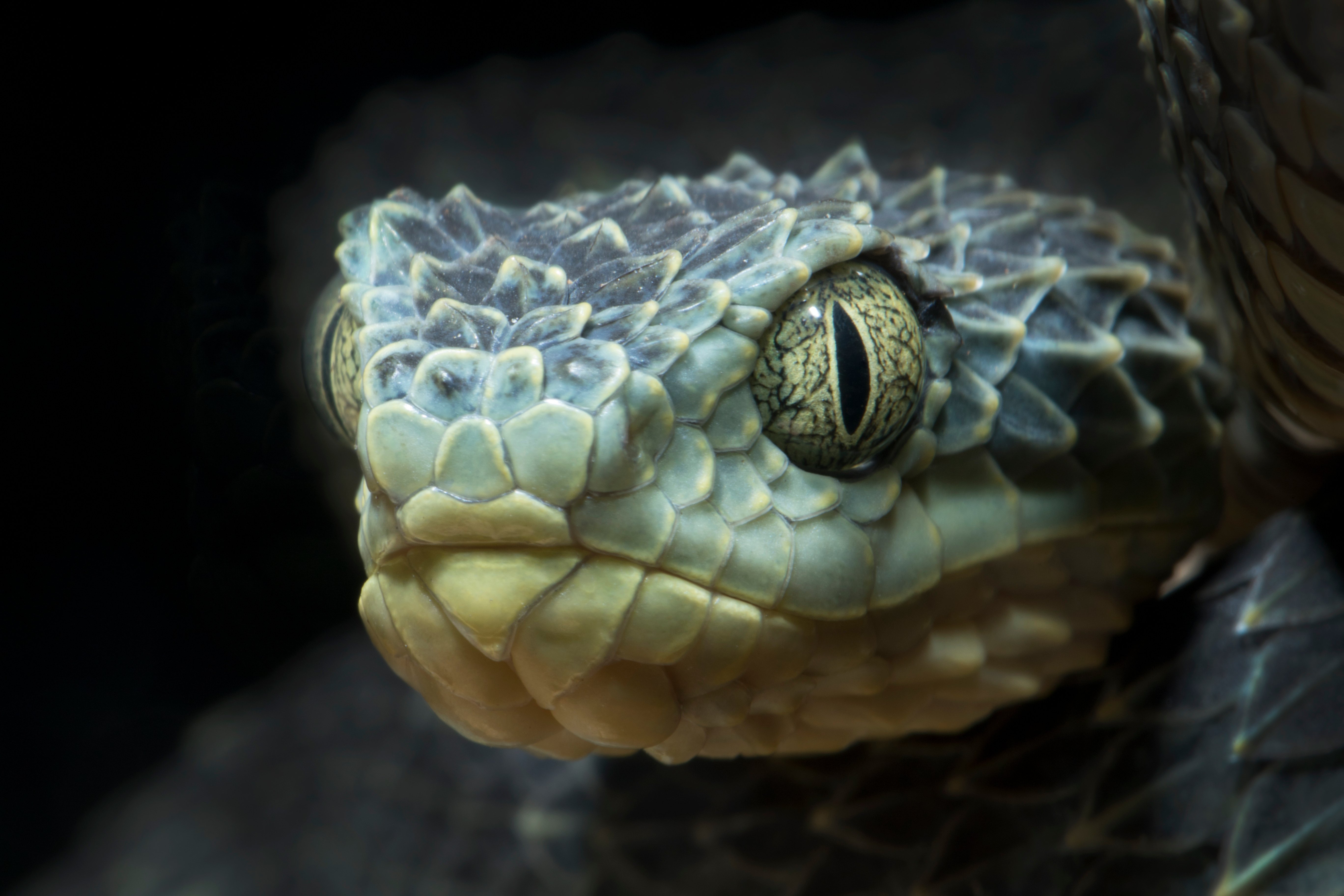 Ransomware at Machine Speed: The New Reality